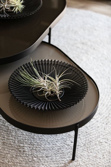 Gubi bowl with airplant