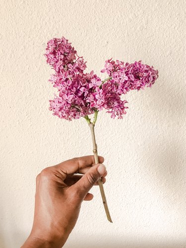 Arrange Grocery Store Flowers Like a Pro