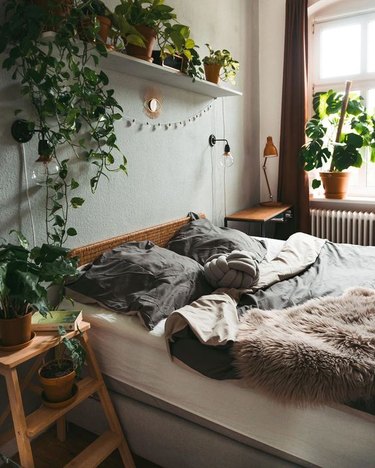 plant-themed bedroom idea with shelf of potted plants