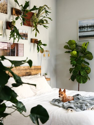artistic plant themed bedroom idea with rustic headboard
