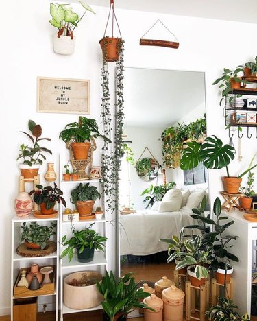 plant themed bedroom idea with hanging and potted foliage