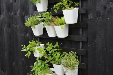 IKEA Hack: DIY Vertical Garden