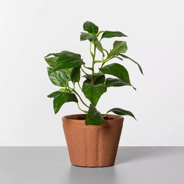 faux pepper plant