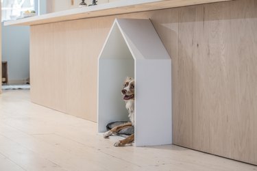 modern doghouse
