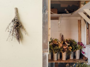 A collection of wild and rustic flowers