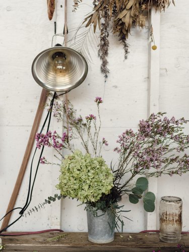 Flowers with a white wall and lamp