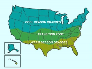 Map of cool-season and warm-season grasses