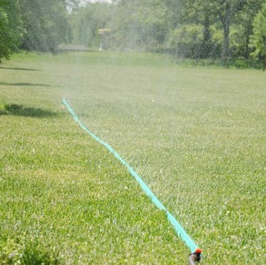 Sprinkler hose in operation.