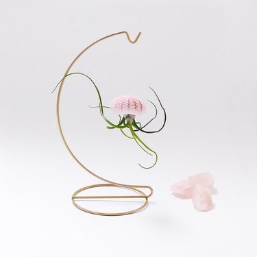 Gold plant stand with hanging light pink shell and upside-down air plant meant to look like jellyfish