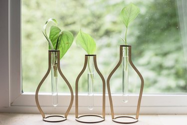 clear beakers inserted in wooden cut-outs shaped like bottles of various shapes