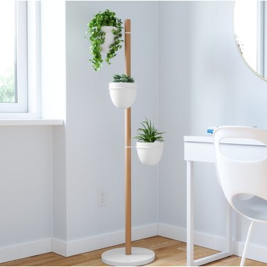 Wooden plant stand with three white plants at various vertical heights