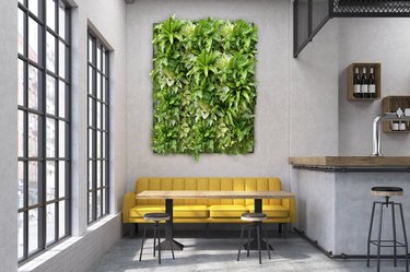 Vertical wall garden over mustard yellow couch