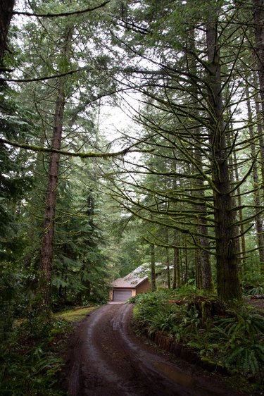 A winding driveway leads to the home.