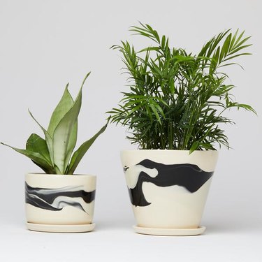 helen levi planters