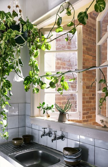 bohemian kitchen sink with macrame plant hanger near open window