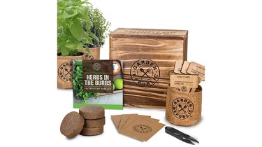 The 9 Top-Rated At-Home Herb Gardens and Growers You Can Get on Amazon ...