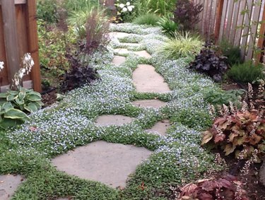 Stone pathway.