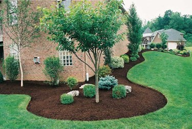 Mulch as a landscaping material.