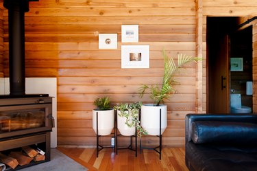 focus on planters with  backdrop of wood plank walls and hardwood floors