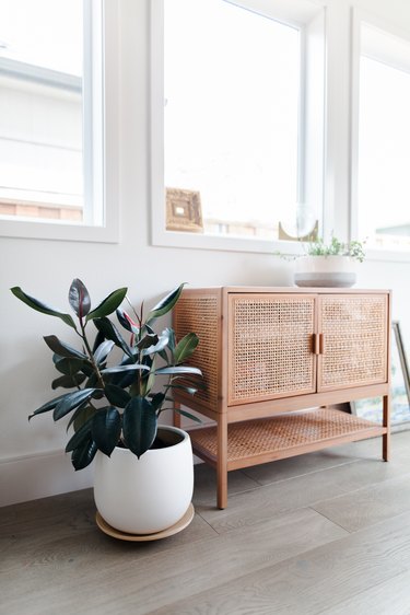 Vintage cabinet with plants