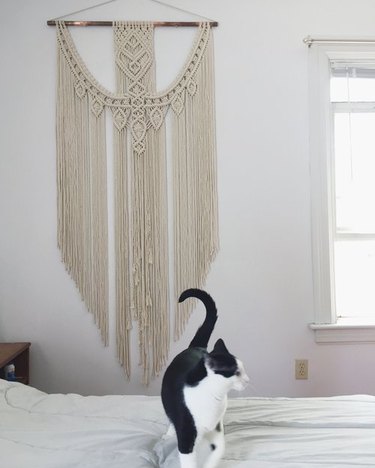 cat on bed with macrame hanging in the background