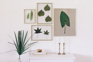 Preserved botanical art in floating frames
