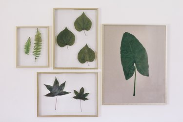 Framed botanical art