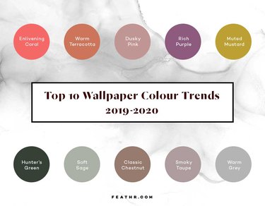 graphic of Feathr color trends