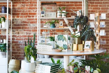 store with books and plants