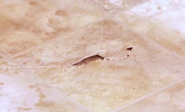 A damaged vinyl tile.