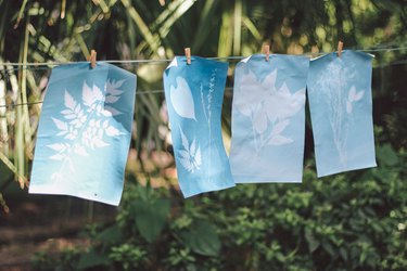 Four wet sun prints hung on clothesline with clothespins