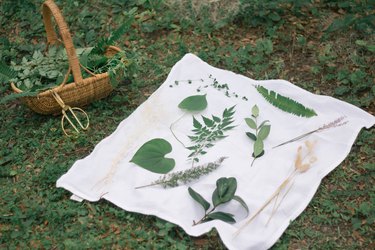 Various leaves and flowers arranged on white cloth on the grass next to a basket full of greenery clippings