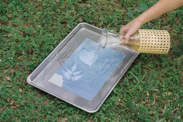 Pouring water over the sun print with a carafe