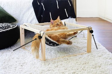 Drill out holes to attach drawer knobs on cat hammock