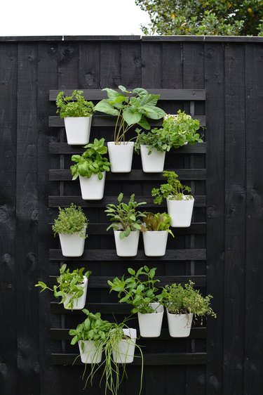 Vertical garden