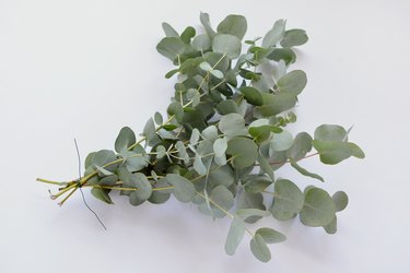 DIY eucalyptus runner