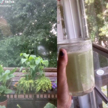 two tiktok screenshots, one showing nature and the other a person holding a cup of green tea
