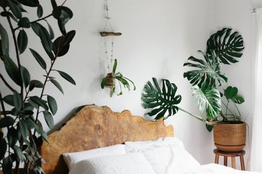 live wood headboard plant lady room