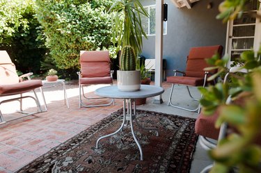 The back patio where mandarins and kiwis grow during the summer.