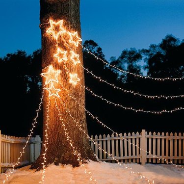 exterior Christmas decorations with White strung lights with white star lights on tree trunk.