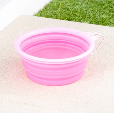 pink collapsible dog bowl