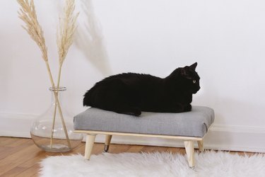 DIY modern minimal cat bed