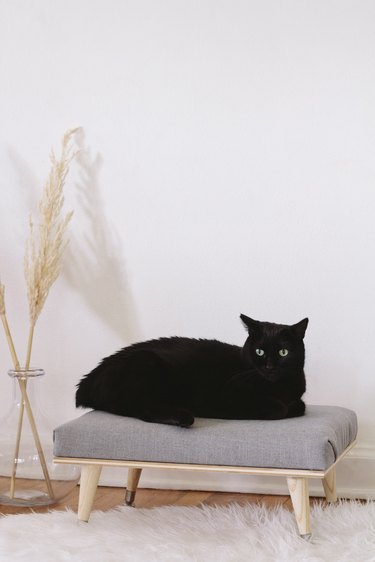 DIY minimal Scandinavian cat daybed