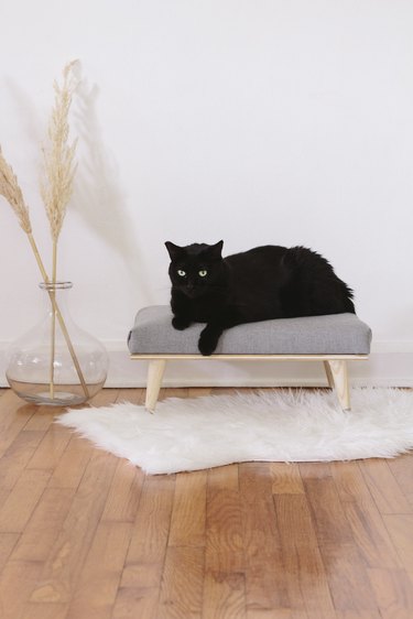 DIY chic stylish cat bed