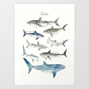 Sharks Art Print