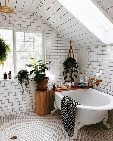 Bathroom with hanging and potted plants near clawfoot bathtub