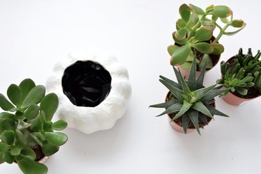 DIY Halloween Succulents