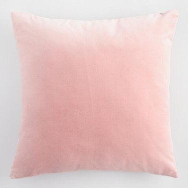 Blush  Velvet Throw Pillow