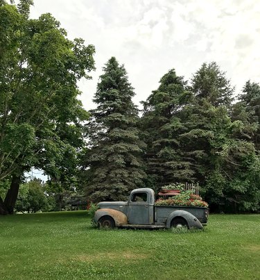 Vintage pickup truck.