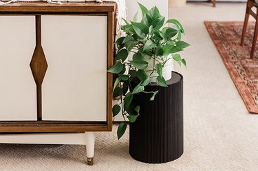 Black ribbed plant stand holding philodendron plant next to midcentury dresser